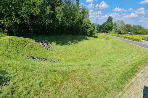 Rasenpflege