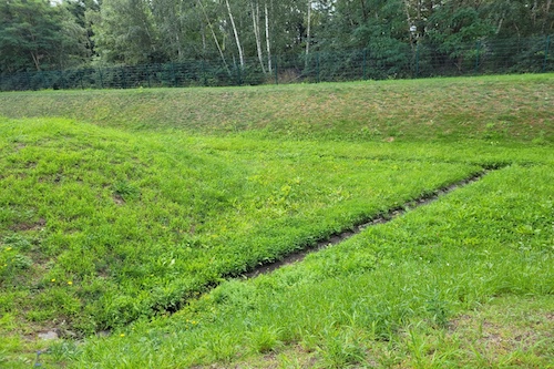 Rasenpflege